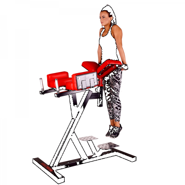 Stroj na triceps a zadok PM15
