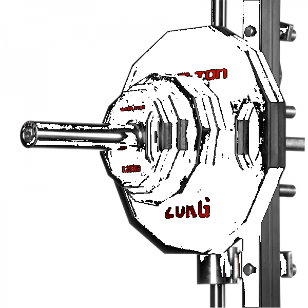 Kladivový portálový žeriav Smith PM6 Kelton STRENGTH