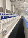 Gumená dlažba na hokejové štadióny GELSPORT ICE s rozmerom 2000x1000x8 mm