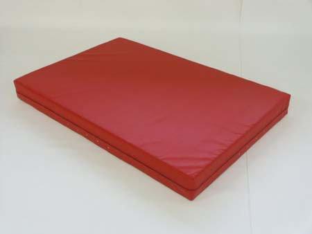 Žinenka na judo tréningová 200x100x12 cm