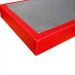 Žinenka na judo Tatami 200x100x5 cm