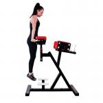 Stroj na triceps a zadok PM15
