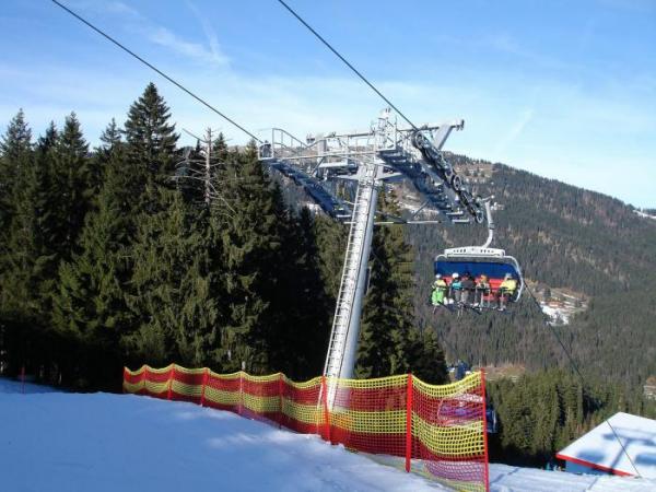 Lyžování